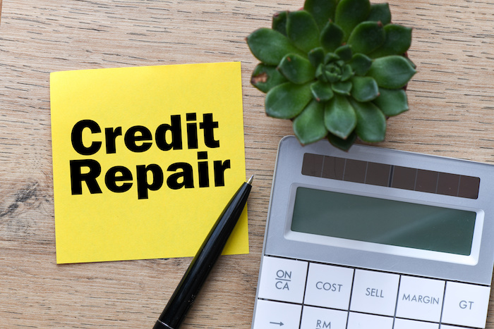 Credit Repair Merchant Services